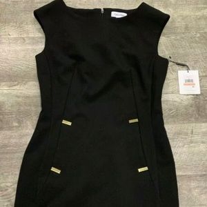 Calvin Klein Black Sleeveless Dress, Women's Size 2